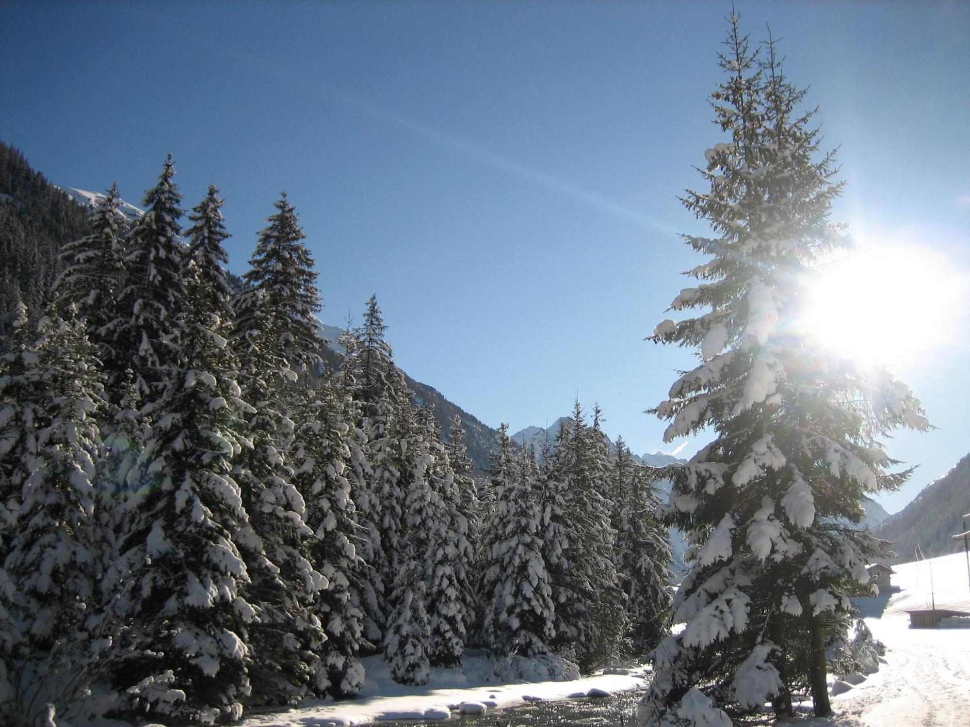 Apart Arve St. Leonhard im Pitztal Exterior foto