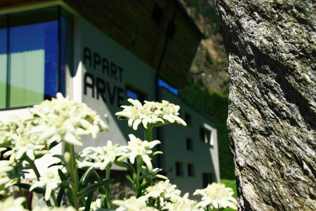Apart Arve St. Leonhard im Pitztal Exterior foto